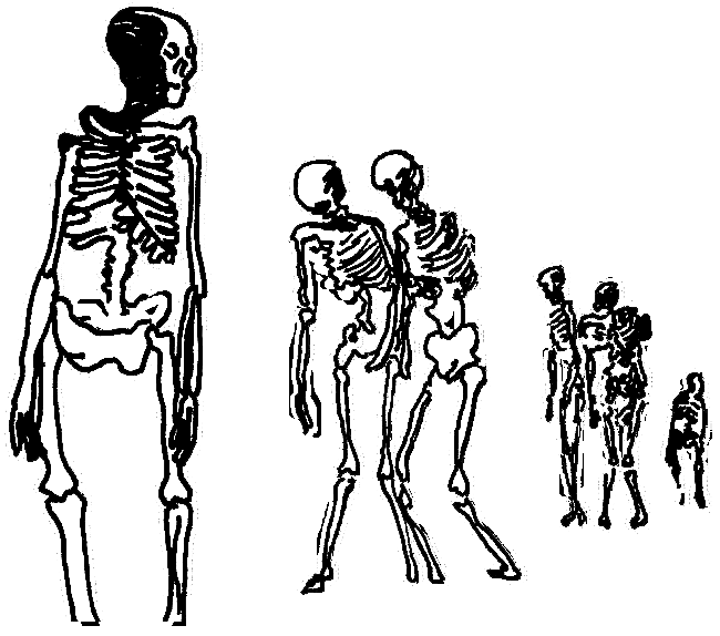 drawing of six skeletons